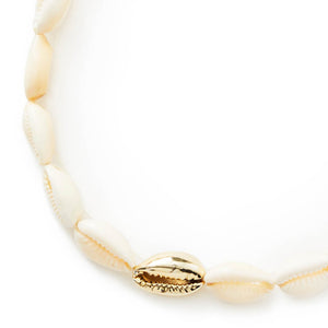 Sea shell necklace with gold chain
