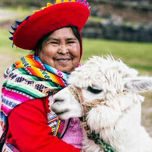 Peruvians alpaca farmer